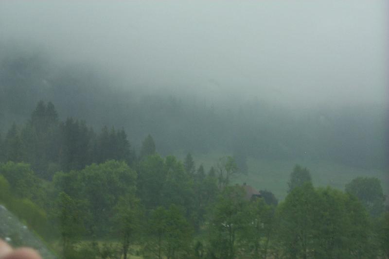 L10-Black Forrest.JPG